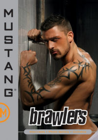 Brawlers