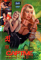 Thumbnail for version as of 21:36, 1 August 2007