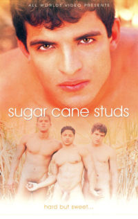 Sugar Cane Studs