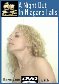 A Night Out In Niagara Falls