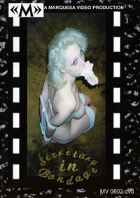 Secretary In Bondage