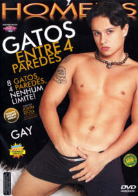 Gatos Entre 4 Paredes