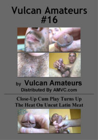 Vulcan Amateurs 16