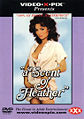 Thumbnail for version as of 16:50, 1 August 2007