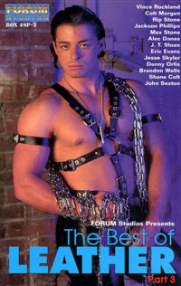 The Best Of Leather 3