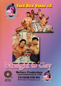 Straight To Gay 2