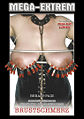 Thumbnail for version as of 21:06, 1 August 2007