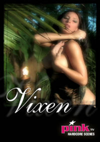 Pink TV Hardcore Scenes - Vixen