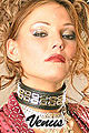 Thumbnail for version as of 20:37, 1 November 2008