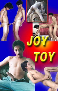 Joy Toy
