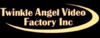 Twinkle Angel Video Factory Inc