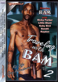 Traveling With Bam 2